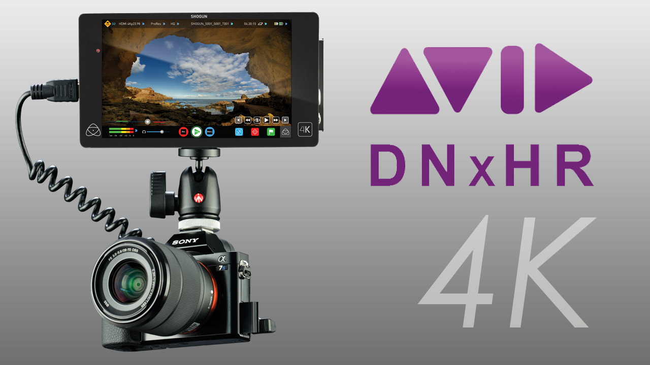 Atomos Shogun and Avid DNxHR LB vs HQX with Sony A7s 4K