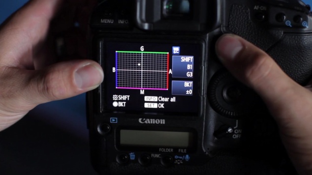 Color correct and grade right in your camera using your white balance, color shift and picture style settings
